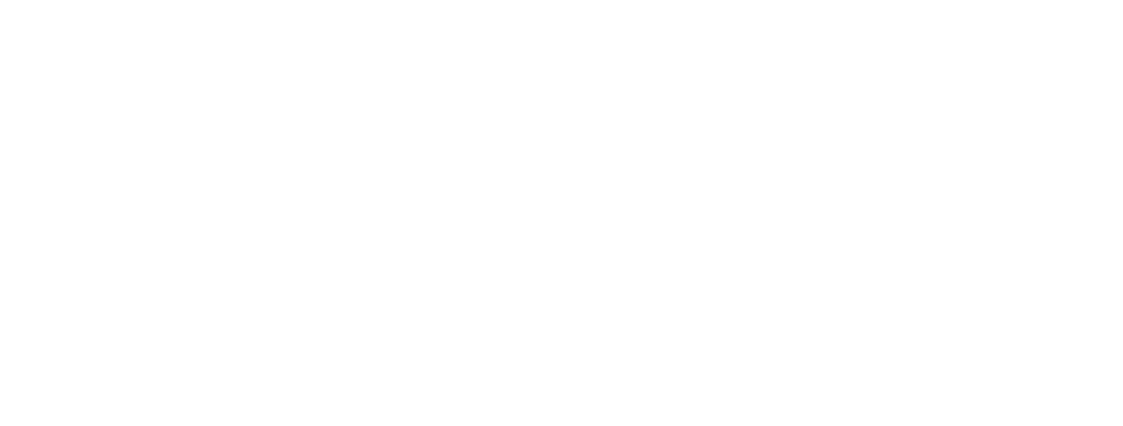 Weise toys Collectibles